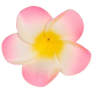  wANbv F2Zbg fB[X wAANZT[ t[  vA nCA 썑   wAAW  킢 ][g r[` t_