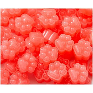  V[ObNX X V[OX^vpi 600gZbg  Jt  ҏ 莆 Mtg bsO  킢  nhCh JoLx