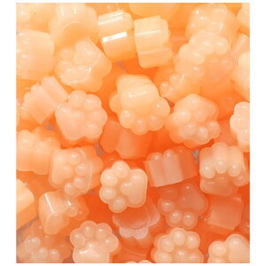  V[ObNX X V[OX^vpi 600gZbg  Jt  ҏ 莆 Mtg bsO  킢  nhCh JoLx