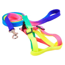 送料無料 ハーネス リード 2点セット 犬 いぬ イヌ ペット用品 胴輪 レインボー カラフル 七彩 散歩 お出かけ 紐 ロープ 調節可能 かわいい おしゃれ