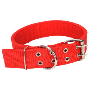   p ^ ^ ɑ L ̕Sy Ck ybgpi xg^Cv L ͕U U o TCY߉\ n PF Vv ubN  bh u[  