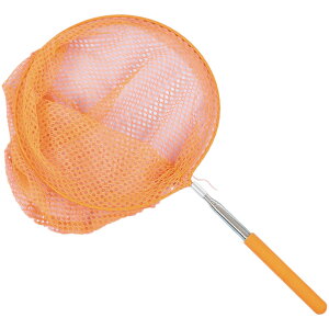  ^ ʖ   ߒ LbY q Lk Lт 35.5cm 85cm tBbVO ނ AEghA Vv 킢 j̎q ̎q