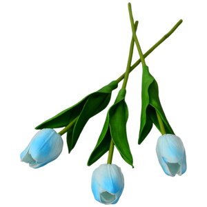   tFCNt[ lHt[ 9{Zbg ԑ `[bv  t[AWg CeAG lH ͂Ȃ GKg