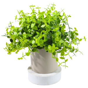  lHϗtA tFCNO[ A  K[fjOpi u Aؔ ~j  킢  CeA RpNg ͂Ȃ