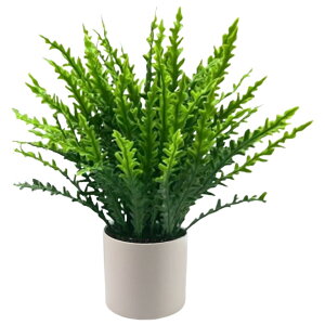  lHϗtA tFCNO[ A  K[fjOpi u Aؔ ~j  킢  CeA RpNg ͂Ȃ