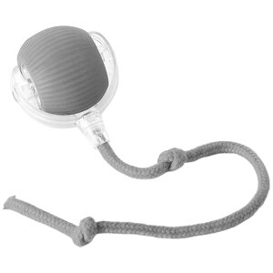  dL炵 ybgp  {[  ] [O Rt [v Lp  lR ybggC ]  ɂԂ XgX `E