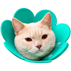  GUxXJ[ ybgp Lp p ^ \tg _炩 z Xibv{^ p rߖh~ 畆ی 킢 