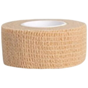  X|[cpe[v e[v Lke[v F3Zbg 2.5cm X|[ce[v e[sO T|[ge[v ʋC ֐ I G  w  Vv