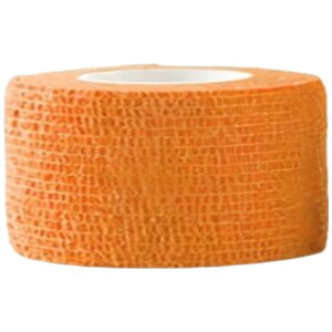  X|[cpe[v e[v Lke[v F3Zbg 2.5cm X|[ce[v e[sO T|[ge[v ʋC ֐ I G  w  Vv