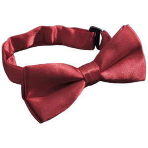  lN^C LbY j̎q ̎q lN^C tH[} qp ߉ \  w  p[eB[ Cxg JoLx