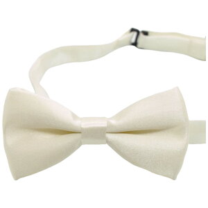  lN^C LbY j̎q ̎q lN^C tH[} qp ߉ \  w  p[eB[ Cxg JoLx