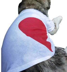  ybgp Lp m TVc  Jbg\[ n[g Ƃt@bV\ ̕ L̕ yAbN yA  킢 ^ ^ ^ ^ p 