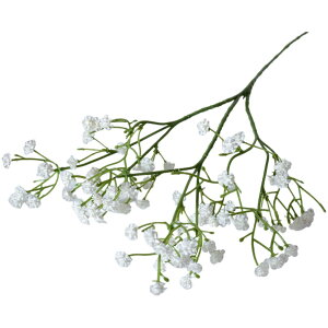   tFCNt[ 1{ Pi JX~\E CeAG DIY A[gt[ AWg lH ԑ t[AW a LO Ǝ  킢  v