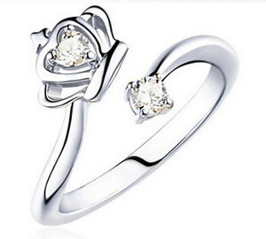  O w fB[X t[TCY I[vO  NE CXg[ 킢 K[[ i GKg tF~j Vv  JWA I[vjO