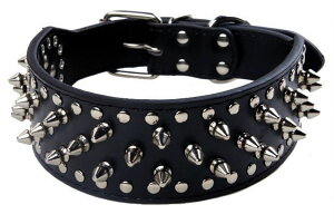   p `F[[h ybgpi Pi X^bY XpCN hbO L ^ ^ ^   qE NR Ck Lbg U