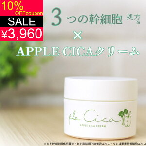 y10OFFN[|I4400~3960~zqgזE × SזE × CICA × XsL[ z yvVJzVJN[ Ղ邵 Y { cicaN[ pbN ێ tFCXN[ N