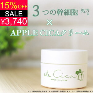 yX[p[SALE15OFFI4400~3740~zqgזE × SזE × CICA × XsL[ z yvVJzVJN[ Ղ邵 Y { cicaN[ pbN ێ tFCXN[