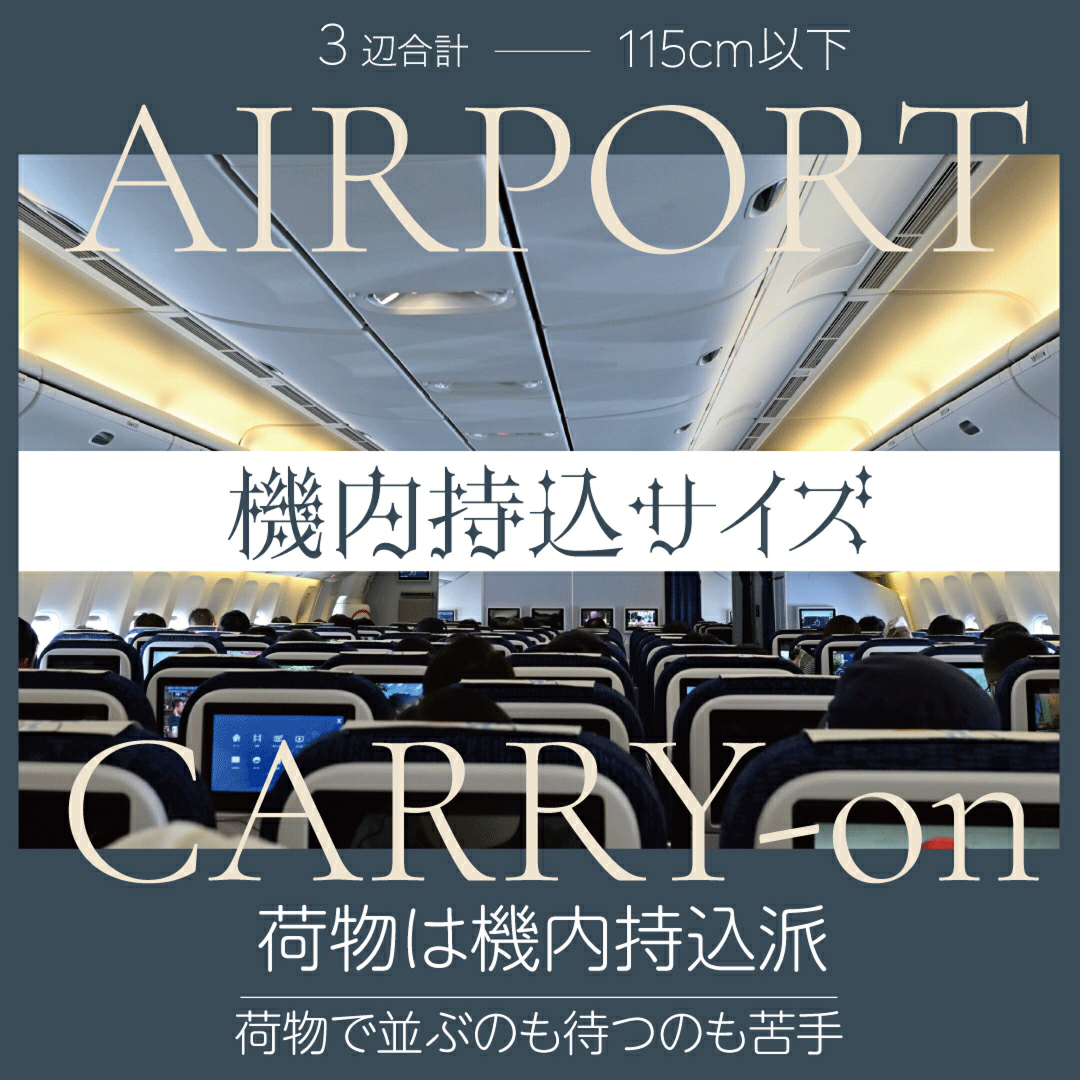 機内持ち込みサイズ