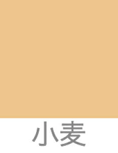 ܂ƂߔLy[{CAC pE_[t@f[V X[X iP[XEptʔjF2wŃP[X1pt2v[gIIICNî݂̏ꍇAw͂