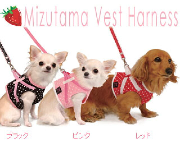 最旬トレンドパンツ リードハーネス Lamzy Www Anavara Com