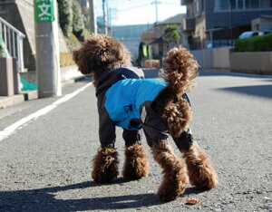 [RADICA]@fBJ@KB421 tzFCR[g3E4TCY