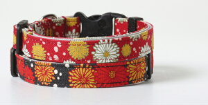 yWz MAIKO DOG J[@[LN]