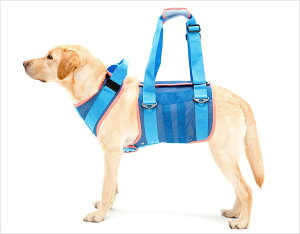 EH[N s⏕n[lX ^p "N[bVu["@[̔݌ɂɂďI][]