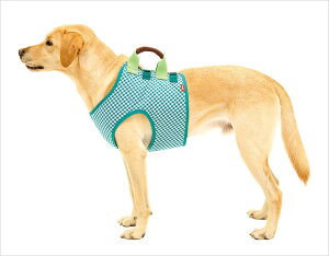 ガム 緑 犬用品の人気商品 通販 価格比較 価格 Com
