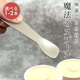 【 1000円ポッキリ 送料無料 】 アイススプーン アイスクリームスプーン アイス スプーン おしゃれ 熱 伝導 アイスが溶けるスプーン 新幹線 プチギフト 誕生日 プレゼント アルミ製