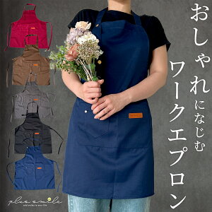 Gv  Y 傫TCY Ɨp  fB[X Vv n  H^ y y  |GXe100 |Pbg 傫 TCY GXe T HX ԉ et wp[ j