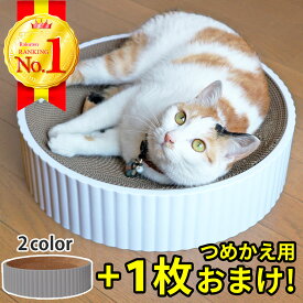 【ランキング 2冠！】 猫 爪とぎ ダンボール 爪研ぎ ベッド おもちゃ 雑貨 つめとぎ おしゃれ 一人遊び 玩具 段ボール 大きい プラスチック 爪磨き ネコ ねこ 猫用品 ペット用品 ペット 用品 ベット ハウス 据え置き 詰め替え 詰替え 交換 あす楽 【本体＋1枚セット商品】