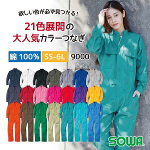 yEwՁE ̈ՁEՂȂǂŐlCł z SOWA Ȃ 9000 SS~6L Ka Ȃ ƒ  Ȃ ƕ  ciM ƒ  ciM ƕ  [ Ȃ J[ Ȃ 