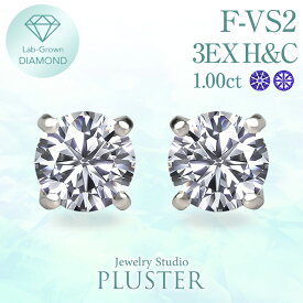 ダイヤモンド ピアス 一粒 1ct プラチナ 金属アレルギー ラボグロウン ダイヤ ダイヤモンドピアス ダイヤピアス 人工ダイヤ プラチナピアス ラボグロウンダイヤモンド レディース メンズ ジュエリー アクセサリー ブランド 記念日 誕生日 クリスマス プレゼント 女性 ギフト