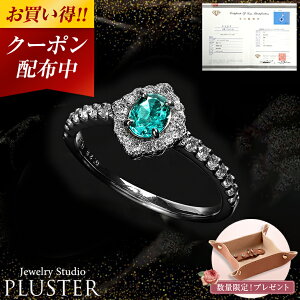 Gh w O v`i VR _Ch _C fB[X Y AM[ PT900 5 a 󏭐 J[Xg[ ӕʏ 嗱 WG[ ANZT[ Vv u