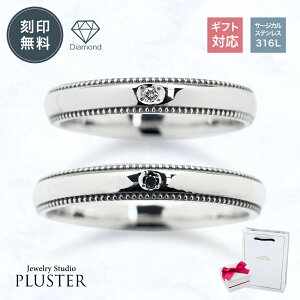 yAO XeX O Zbg AM[Ή w   _Ch _ChO T[WJXeX 316L fB[X Y jp yA Jbv XeX
