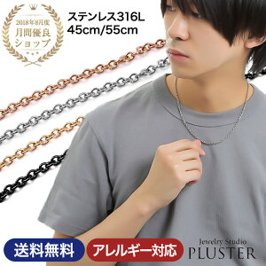 XeX lbNX Y `F[ AM[ Vv uh ×p T[WJXeX 316L y_g jp jZbNX Vo[ XN[ [v  55cm 45cm u