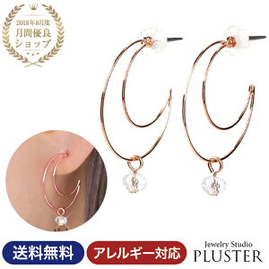 ピアス レディース 金属アレルギー フープ チタン フープピアス チタンピアス パイプ アレルギーフリー アレルギー対応 プラチナ 大ぶり シンプル 両耳 ノンアレルギー 大きい 大きめ ムーン シルバー パーティ アクセサリー 大人 可愛い 輪っか 1000円 ポッキリの ピアス レディース 金属アレルギー フープ チタン フープピアス チタンピアス パイプ アレルギーフリー アレルギー対応 プラチナ 大ぶり シンプル 両耳 ノンアレルギー 大きい 大きめ ムーン シルバー パーティ アクセサリー 大人 可愛い 輪っか 1000円 ポッキリの