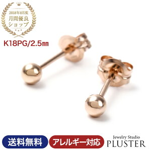 セカンドピアス メンズの人気商品 通販 価格比較 価格 Com