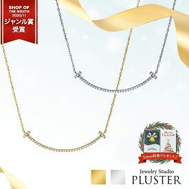 スマイル ネックレス レディース 金属アレルギー シンプル 大人 Tスマイル ライン バー ゴールド プラチナ 18K シルバー チェーン スマイルライン ゴールドネックレス ラインネックレス H&C ジルコニア ジュエリー アクセサリー クリスマス プレゼント 誕生日 女性 彼女 喜ぶ