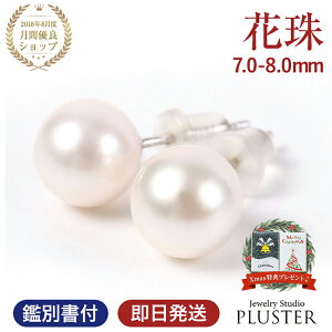 p[ sAX Ԏ^ {^sAX p[sAX ꗱ fB[X {^ ^ Ԏ  tH[} AM[ 7.0mm-8.0mm Vo[  Ǝ w \ WG