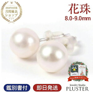 p[ sAX Ԏ^ {^sAX p[sAX ꗱ fB[X {^ ^ Ԏ  tH[} AM[ 8.0mm-9.0mm Vo[  Ǝ w \ WG