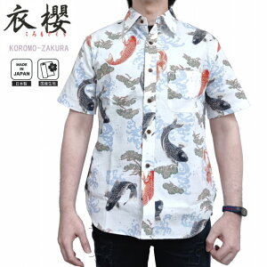 Vc ˌ Rbg M[ sa1617 ߟN  ߍ a { yY TUNXn@iւ̈