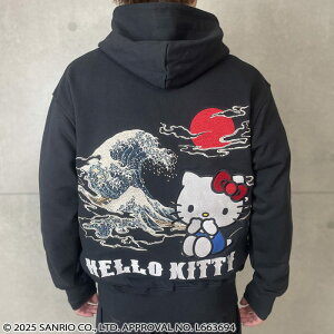 G LeB WbvAbvp[J[ ZIP UP hJ 254051 J × HELLO KITTY R{炭肽܂ LeB TI