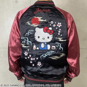 XJW n[LeB NIPPON o[Vu X[xjAWPbg WPbg 254052 J × HELLO KITTY R{炭肽܂ LeB TI