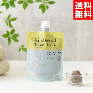 ナイアード ガスール フェイスパック 170g クレイ 泥パック ペースト チューブ naiad【メール便/全国送料無料】