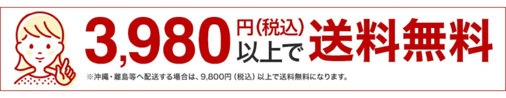 3,980円以上で送料無料