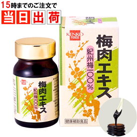 ＼マラソン限定クーポン配布中／ 健康フーズ 梅肉エキス 90g 紀州梅100%使用 無添加 国産 KENKO FOODS