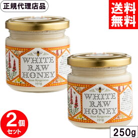 ＼スーパーSALE クーポン配布中／ キルギスの白いはちみつ 250g x2個セット 非加熱 天然 生はちみつ ローハニー クリーミー 蜂蜜 高原 キルギス 白いはちみつ 白はちみつ ハチミツ エコチャージジャパン まとめ買い 全国送料無料