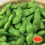 【数量限定】だだちゃ豆 枝豆 山形 白山 鶴岡 2kg (500g×4袋) 数量限定 幻の枝豆 だだちゃ豆 松浦名人の…