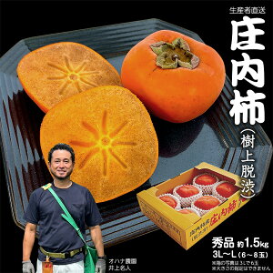 y11{蔭\ zR`Y ` Gi 1.5kg (6`8ʓ) ` Yn ʕ  t[c  Ea Ea Y Y  H̖o {̖o O